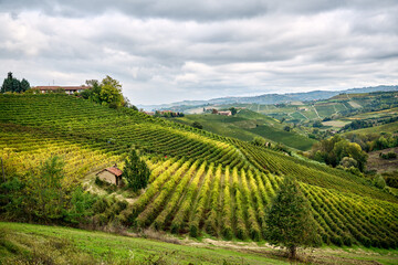 Panoramic landscape of vineyards in the rolling hills of the Langhe in Piedmont, City of Monforte d'Alba, City of Barolo, City of La Morra, Italy