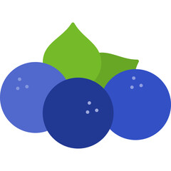 Bilberry Icon
