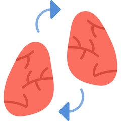 Organ Transplant Icon