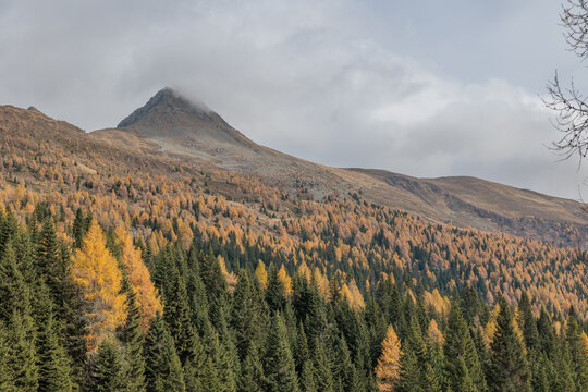 vista panoramica su un ambiente di montagna nel Veneto settentrionale con lunghe catene montuose erbose, coperte da foreste dagli alberi gialli e verdi ed ampie vallate, in autunno