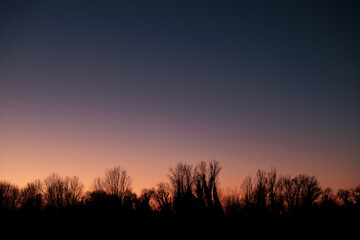 tramonto con cielo sereno e colorato da sfumature di blu, viola ed arancione con sagome nere di alberi di un bosco in basso