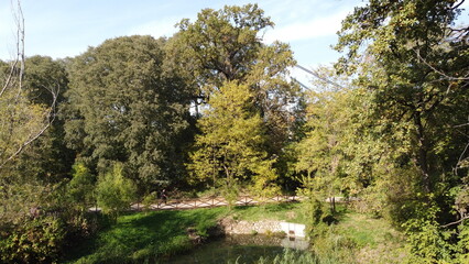 A beautiful lake in the park overgrown with reeds.