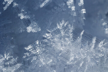 vista ultra macro molto dettagliata di cristalli di neve ghiacciata, dalle sfumature di colore che variano tra il bianco ed il blu