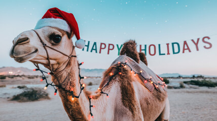 A festive camel adorned with a Santa hat and holiday lights, standing under a banner that reads 'Happy Holidays.' The setting is a serene desert landscape at dusk.