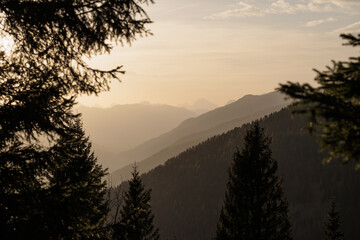 sagome di montagne nel nord Italia, viste da un'alta quota e da dietro alcuni alberi che si...
