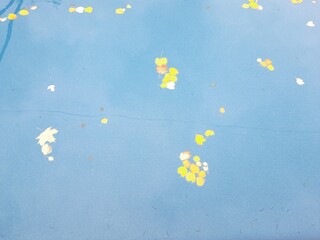 Autum and blue water
