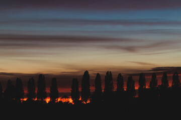 vista dettagliata del cielo al tramonto, da dietro le sagome di alcuni alberi in campagna, pieno di...