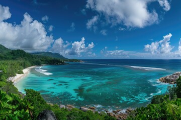 Tropical Coastline with Lush Vegetation and Turquoise Water