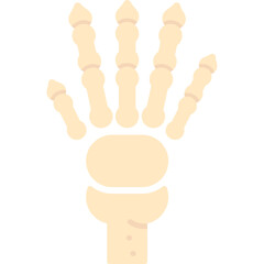 Hand Bones Icon