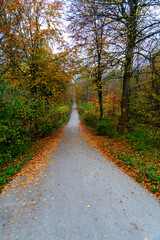 Whispers of Autumn: A Symphony of Orange and Gold at Stuttgart’s Hidden Gem, Bärensee