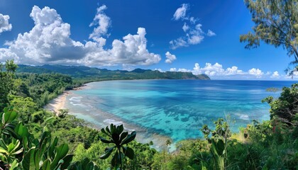 Panoramic View of a Tropical Coastline with Lush Foliage and a Turquoise Ocean