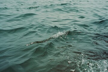 Rippling waves on open water, highlighting the movement and tranquility of the sea with detailed textures and vibrant hues.