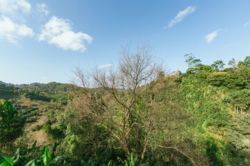 Doi Pang Khon in Chiang Rai, Thailand.