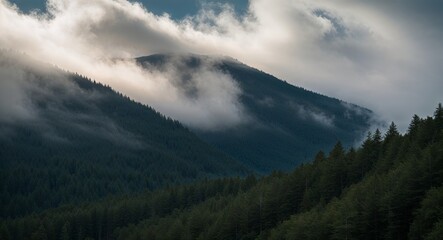 Forested mountain range with misty clouds from above