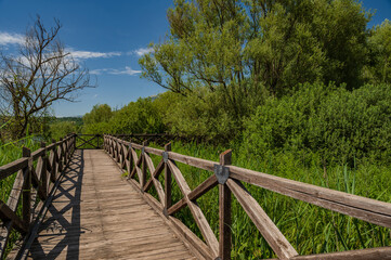 Fototapeta premium Posta Fibreno lake nature reserve, Frosinone, Italy