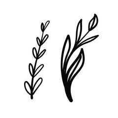 icon illustration of hand drawn style