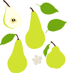 Set of pear fruit with leaves and flower elements. Groovy doodle style vector illustration for different purposes.