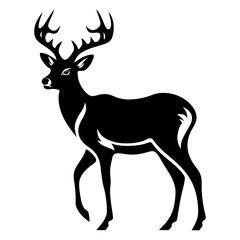 Obraz premium PNG Deer wildlife animal mammal.