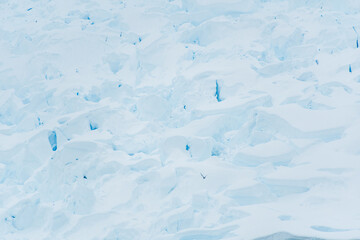 Telephoto of a flying Artic Tern - terna paradisaea- passing in front of a giant glacier front near Graham passage, close to Charlotte bay, on the Antarctic peninsula.
