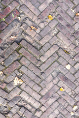 paving stones in the street