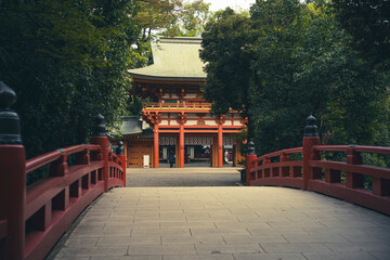 埼玉県さいたま市氷川神社の参道