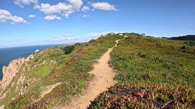 a trail through fields of Carpobrotus edulis plants near Cabo da Roca, Colares, Sintra, district of Lisbon, Portugal