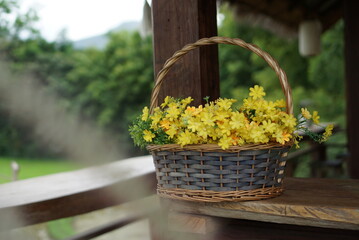 Yellow flower baskets with a view