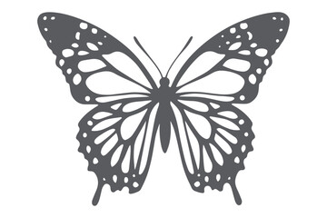 Paper cut Butterfly SVG cut file, butterfly svg cut file, Cricut butterfly