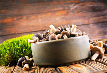 raw gray mushrooms in bowl