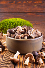 raw gray mushrooms in bowl