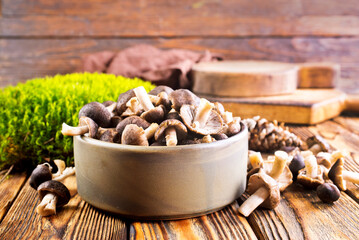 raw gray mushrooms in bowl