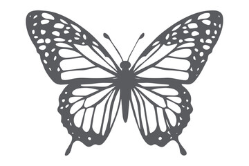 Paper cut Butterfly SVG cut file, butterfly svg cut file, Cricut butterfly