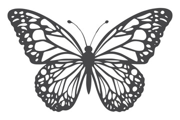 Paper cut Butterfly SVG cut file, butterfly svg cut file, Cricut butterfly