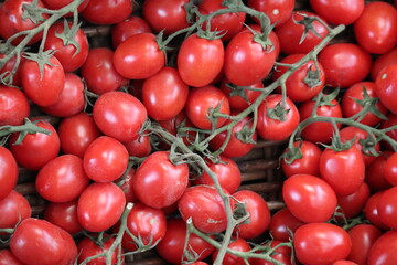 photo of fresh red tomatoes on the bench