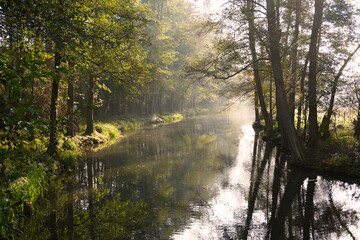 Leichter Morgennebel über den Fließen im Spreewald