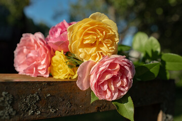 Roses in the garden bouquet