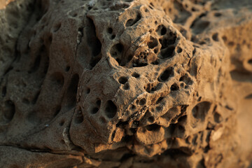 vista macro della superficie di una roccia marina piena di buchi