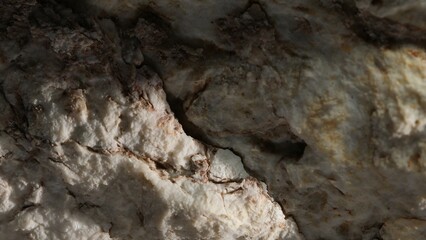 Detailed Close-up of Weathered Rock Surface