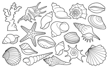 Hand drawn sea shells set with doodle style. line art sea shell background vector illustration.