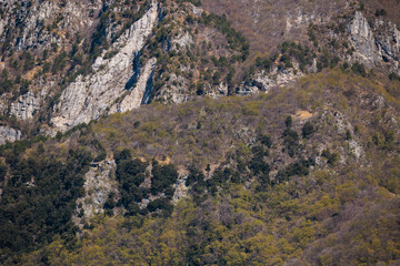 vista dettagliata dei ripidi pendii rocciosi di una montagna, coperti prevalentemente da vaste foreste, di giorno, in primavera
