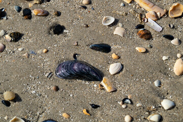 Am Strand von Blavand in Dänemark