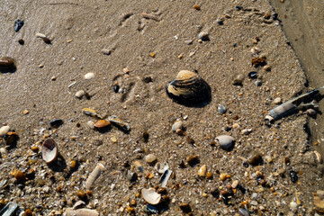 Am Strand von Blavand in Dänemark