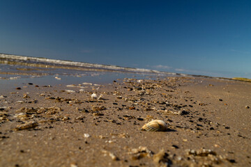 Am Strand von Blavand in Dänemark