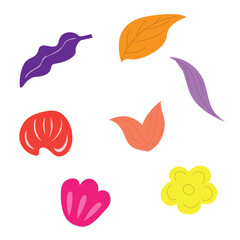 Fototapeta premium set of leaves and flowers clipart vector