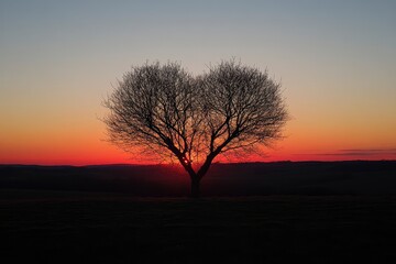 Naklejka premium Tree of love in spring. Red heart shaped tree at sunset. Beautiful landscape with flowers.Love background with copy space.Valentine day card with generative ai