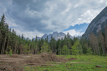 panoramica da fondovalle su parte della Val Saisera e le distanti cime dei monti Jof Fuart e Jof di...