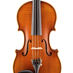 Stunning Violin: A Masterpiece of Craftsmanship and Sound in Traditional Music