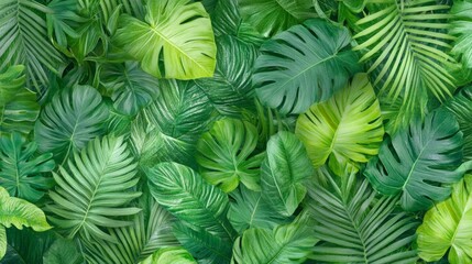 Green tropical leaves overlapping in an artistic pattern vibrant yet controlled green tones enhance the organic beauty of the leaves.
