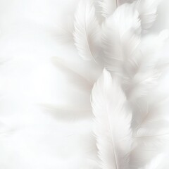 Obraz premium Soft white feathers delicately layered on a light background create a serene and minimalist aesthetic, ideal for designs related to peace, purity, or nature