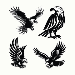 Set of eagle with wings flying
